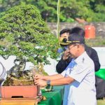 Pameran Bonsai Berskala Nasional Digelar di Jeneponto