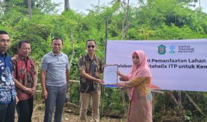 Institut Teknologi Pertanian Buka Peluang Donasi Pemanfaatan Lahan Tidur