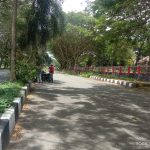 Dinas PLH Parigi Moutong Melakukan pemangkasan Pohon