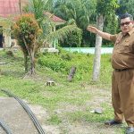 SMAN 3 Lubuk Basung Lakukan Perbaikan Wajah Sekolah, Kita lakukan Penataan Biar Lebih Gagah”