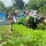Taman Wisata Gizi Kecamatan Pattalassang Panen Perdana