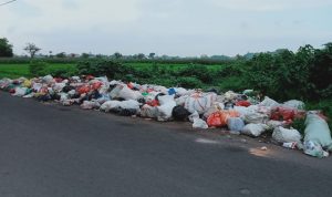Warga Keluhkan Tumpukan Sampah di Depan Kantor Desa Boddia