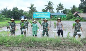 Wujudkan Pembinaan Ketahanan Pangan, Kodim 1426/Takalar Tanam Padi