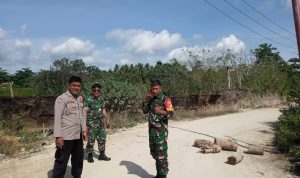 Pemalangan Jalan di PT. Sals Srilanka Telah di Buka, Atas Mediasi Danramil dan Kapolsek Luwuk