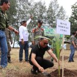 Bupati Morut Dr. dr. Delis Julkarson Hehi, MARS Lakukan Penanaman Perdana Bibit Kelapa Genjah di Pantai Wisata Desa Ungkea
