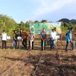 Bupati Morowali Utara Tanam Jagung Perdana pada Lahan di Desa Wawopada
