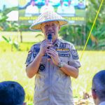 Bupati Jeneponto Panen Raya Padi Di Kelurahan Bontotangnga