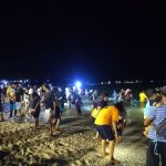 Nyale Muncul Di Pantai Senggigi, Jamaludin Harap Ini  Bisa Menjadi Event Tahunan