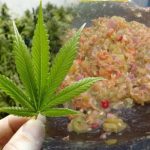 Sambal Ganja’ yang Nikmat di Langsa Aceh, Ramai Peminat