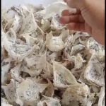 JUAL Beli Sarang Walet yang Lagi Ramai Setelah Pandemi