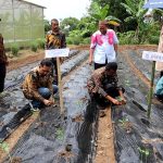 Manfaatkan Pekarangan Rumah, Pj. Bupati Takalar Canangkan Gerakan Menanam Cabe dan Sayuran