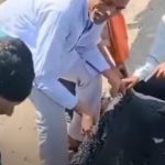 VIRAL Video Berdurasi Pendek Diduga Jalan Menggunakan Asphalt Berlapis Karpet