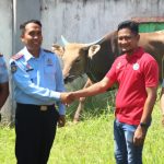 Lapas Kolonodale Terima Bantuan Sapi Kurban Dari Bupati Morowali Utara