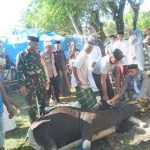 Babinsa Desa Laikang Pantau Penyembelihan Hewan Kurban Di Wilayah Binaan