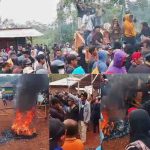 Tolak Tambang PT. Vale di Blok Loeha Raya Luwu Timur, Aliansi Petani Merica Unjuk Rasa