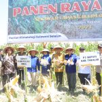 Panen Raya Sekolah Lapang Iklim Mendukung Ketahanan Pangan di Takalar