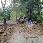Sejumlah Proyek di Dinas Peternakan Sigi Tanpa Papan Informasi 