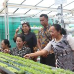 Tim Kantin Sehat SMPN 1 Petasia Melihat Lebih Dekat Proses Budidaya Sayur Hidroponik Lapas Kolonodale