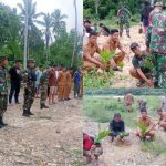 Mereboisasi Lahan Tandus Demi Mencegah Terjadinya Banjir, Kodim 1430/Konut Lakukan Penanaman Pobon