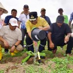 Rangkaian HJB ke 769 Pj. Gubernur dan PJ Bupati Bantaeng Tanam Pisang Candevish
