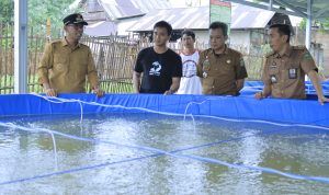 Optimalkan Potensi Perikanan, Pj. Bupati Takalar Tnjau Langsung Kegiatan Budidaya Air Tawar