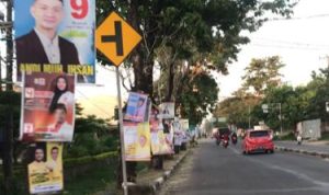 Ratusan Pohon di Takalar Jadi Tumbal Kampanye Peserta Pemilu, Pemda – Bawaslu Diminta Tegas