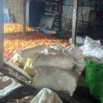 Pemkab Jeneponto akan Terus Pantau Harga Jagung