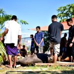 Berkah Idul Qurban, Lapas Lombok Barat Potong 9 Ekor Hewan Qurban