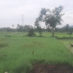 Sertifikat Tanah di Desa Jagaraga Indah Diduga Digelapkan, Pasutri Dilaporkan!