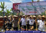Sekda Lotim Wakili Bupati H Haerul Warisin Panen Jagung Serentak Bersama Wakapolda NTB di Aikmel