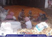 Perwujudan Jargon “Polri Presisi”, Bhabinkamtibmas Polres Jeneponto Bantu Petani