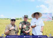 Panen Raya Padi Serentak, Bantaeng Nyaris Capai Target GKP