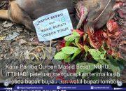 Di Hari Raya Idul Adha, Bupati Lombok Timur H. Iron Salurkan 30 Ekor Sapi Kurban ke 21 Kecamatan