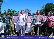Wabup Takalar Lakukan Panen Raya Jagung bersama Forkopimda di Desa Balangtanaya