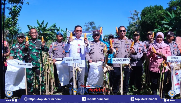 Wabup Takalar Lakukan Panen Raya Jagung bersama Forkopimda di Desa Balangtanaya