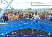 Bupati Dan Wabup Jeneponto Hadiri Panen Raya Padi Dan Ikan Air Tawar