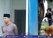 PDAM Lombok Timur Kurban Satu Ekor Sapi di Hari Raya Idul Adha