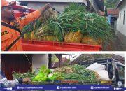 TSBD BPBD Lombok Timur Salurkan Sayur Mayur untuk Korban Banjir di Lombok Barat dan Mataram