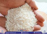 Bulog Lotim Pastikan Kualitas Stok Gabah Beras Terjaga hingga 2026, Siap Kirim 1.500 Ton ke NTT