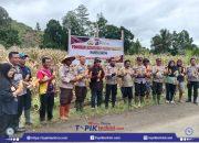 Dukung Ketahanan Pangan Nasional, Polres Buol Gelar Panen Jagung Bersama Warga di Desa Binuang