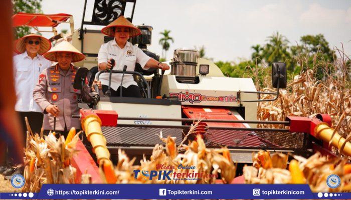 Panen Raya Jagung Kuartal III, Kapolri Komitmen Wujudkan Indonesia Lumbung Pangan Dunia