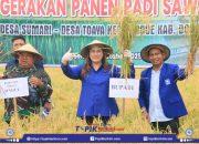Bupati Donggala Turun langsung Panen Sawah Desa Sumari dan Toaya