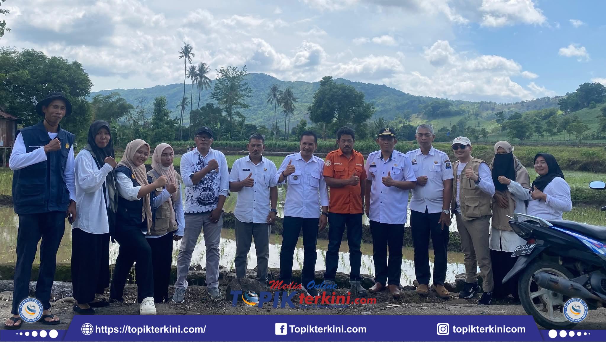 Harapkan Panen Maksimal, Dinas Pertanian Jeneponto Terapkan Tanam Jajar Legowo 4.1 di Desa Beroanging