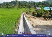 Inpres Tahap III Perkuat Irigasi Sulteng, Dukung Lumbung Pangan Nasional