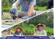 Bupati Bantaeng Panen Perdana Bawang Merah Unggulan Lokana