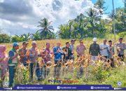 Dukung Ketahanan Pangan Nasional, Pemkab Buol Ikuti Panen Raya Jagung Serentak Kuartal I 2026