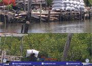 Pembalakan Hutan Mangrove Tanakeke Kian Massif, Diduga Diperjualbelikan