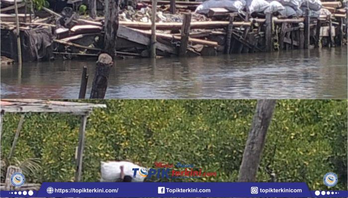 Pembalakan Hutan Mangrove Tanakeke Kian Massif, Diduga Diperjualbelikan