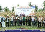 Bupati Donggala Menghadiri Panen Raya Jagung Hibrida Di Desa Batusuya Go’o