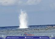 Bom Ikan Kembali Guncang Perairan Tanakeke, Bukti Lemahnya Penegakan Hukum 